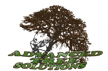 Advanced Tree Solutions