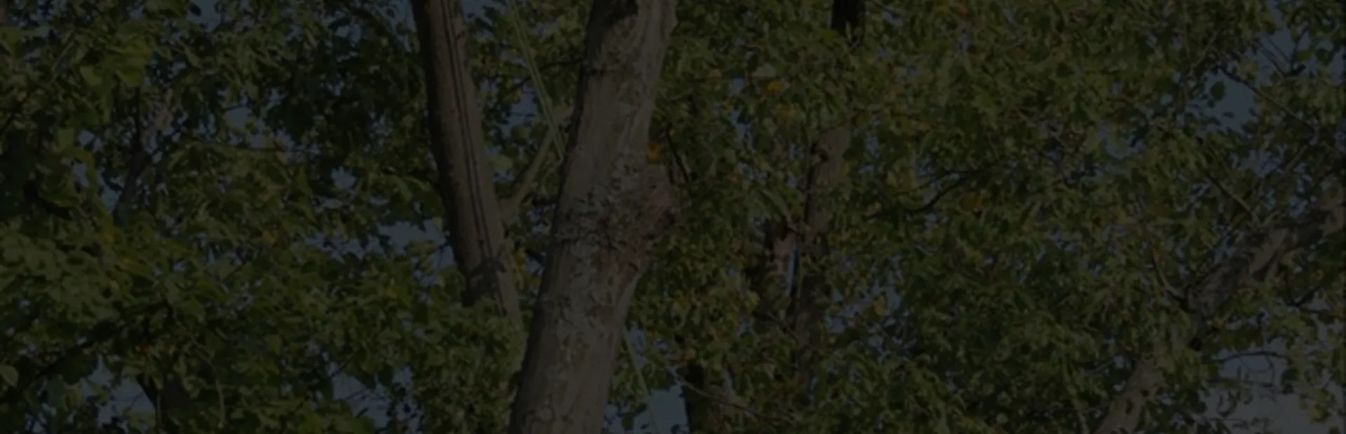 General breadcrumb hero