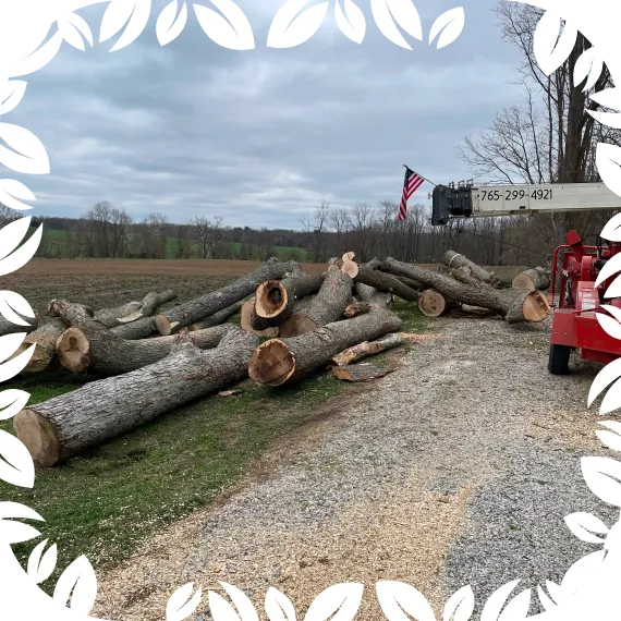 Land & Lot Clearing 1