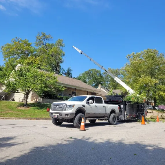 Land & Lot Clearing