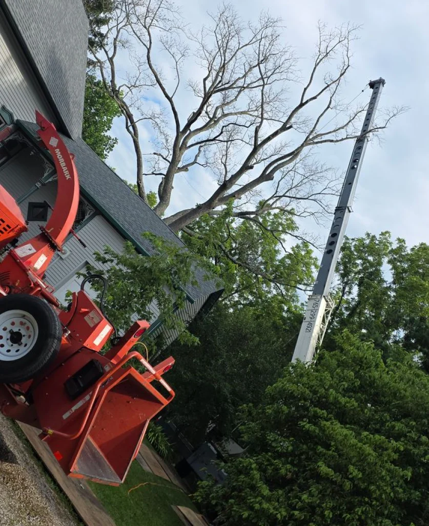 A red Morbark woodchipper and an extended white crane next to a large, bare tree and a house for tree removal service.