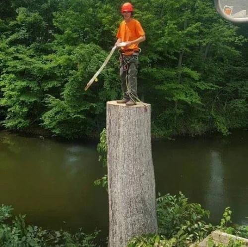 advanced-tree-solutions-2026-03-06T18 25 44.560123Z-80591