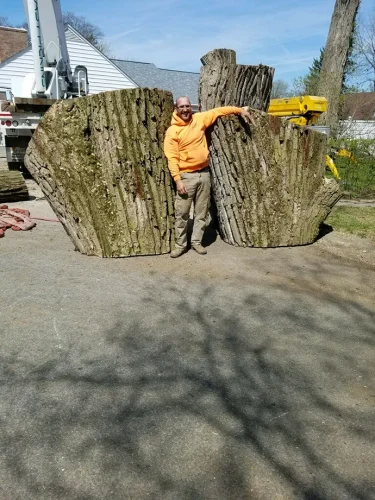 advanced-tree-solutions-2026-03-06T18 25 44.933787Z-73714