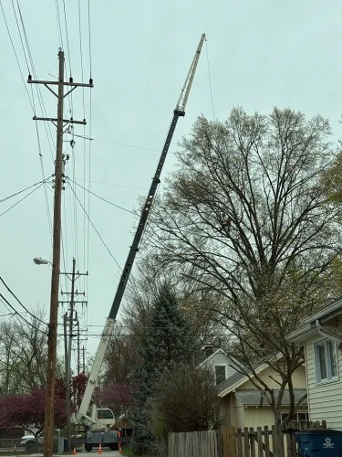 advanced-tree-solutions-2026-03-06T18 25 45.092050Z-97714