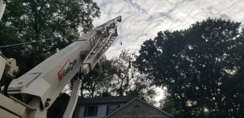 advanced-tree-solutions-2026-03-06T18 25 45.528907Z-46350