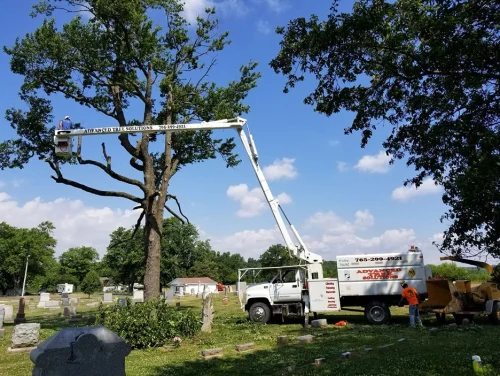 advanced-tree-solutions-2026-03-06T19 27 59.628558Z-019cc49e-f54e-7f7f-af4d-3516c8fe770b