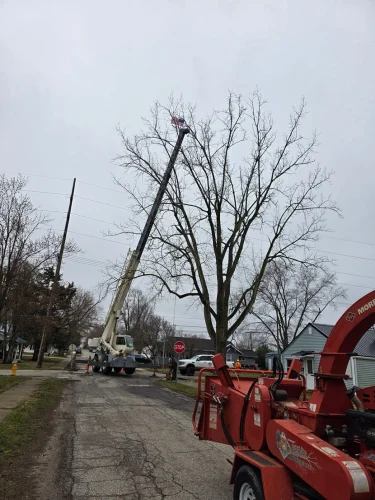 advanced-tree-solutions-2026-03-06T19 28 07.100188Z-019cc49f-10e3-7f7e-b970-88bc7a871f8f
