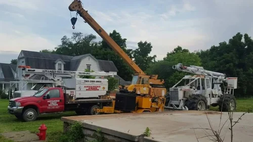 advanced-tree-solutions-2026-03-06T19 28 10.733272Z-019cc49f-24ab-739e-bf02-3a27c27de09b