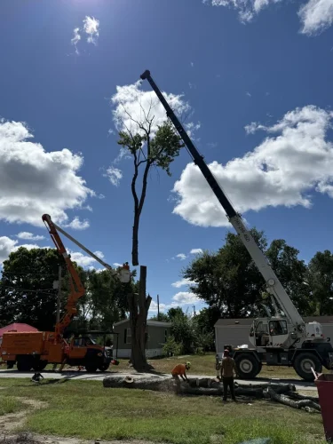 advanced-tree-solutions-2026-03-06T19 28 13.908656Z-019cc49f-2e61-700e-a0ba-4c849bff8581