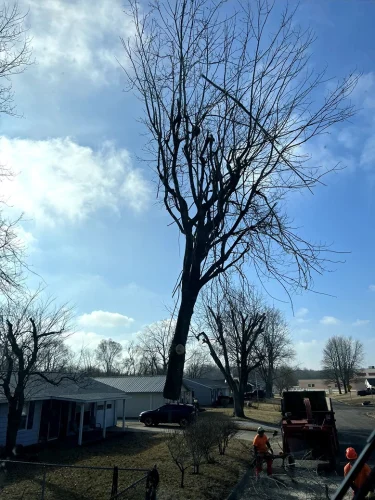 advanced-tree-solutions-2026-03-06T19 28 14.502114Z-019cc49f-2e61-72e6-bb1a-2facfdfd2548