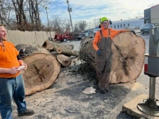 advanced-tree-solutions-2026-03-06T19 28 17.755750Z-019cc49f-37f8-7c08-ae04-d5255c851c53